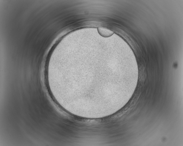 X0000116611139201001221313