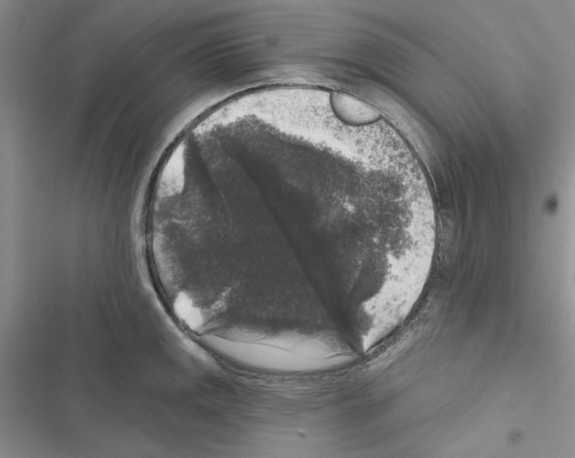 X0000116611141201001221313