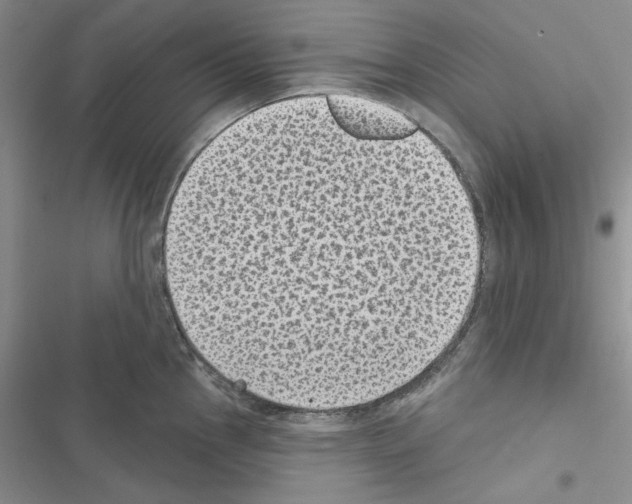 X0000116611145201001221313