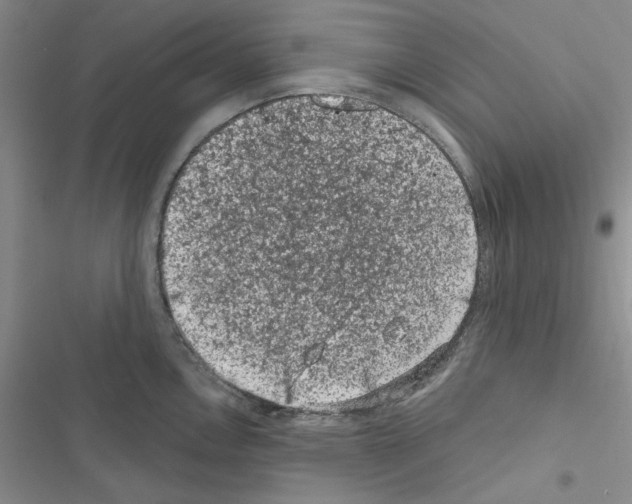 X0000116611146201001221313