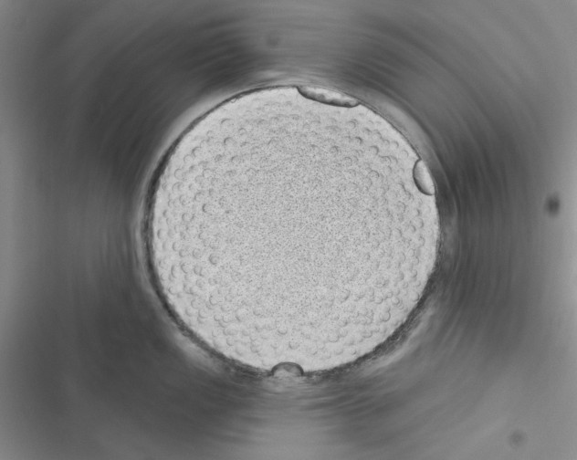 X0000116611149201001221313