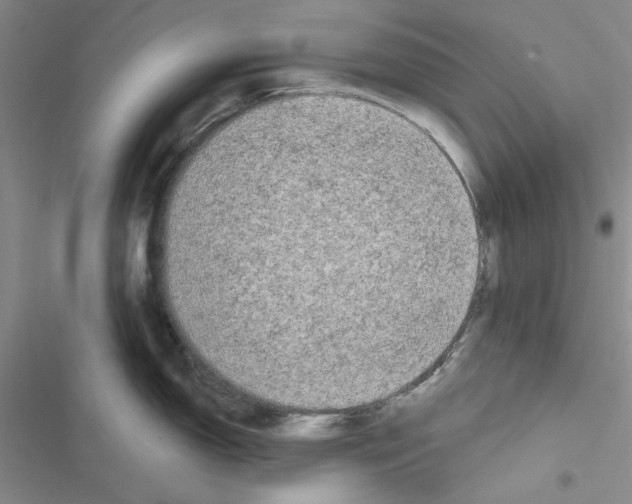 X0000116611150201001221313