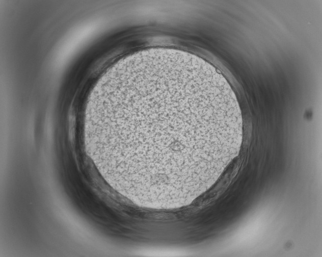 X0000116611151201001221313