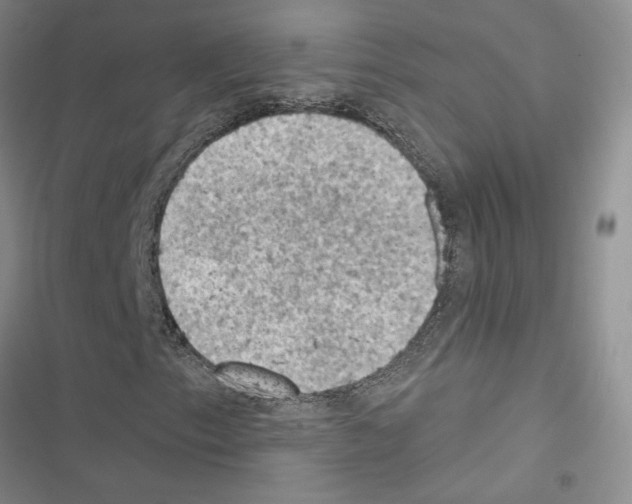 X0000116611153201001221313