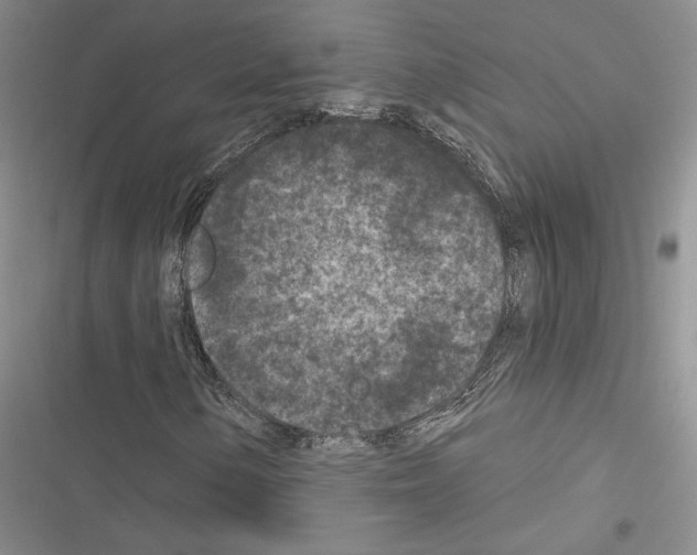 X0000116611154201001221313