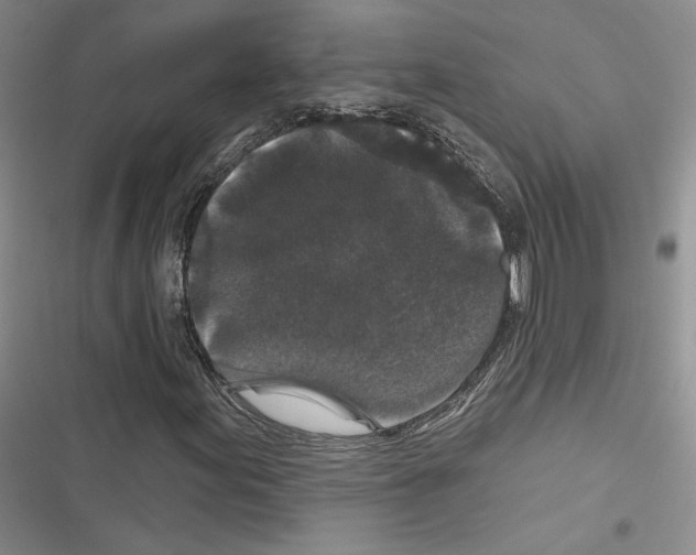 X0000116611155201001221313