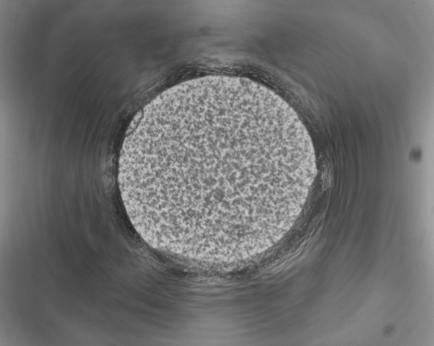 X0000116611156201001221313