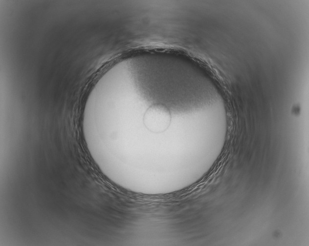 X0000116611157201001221313