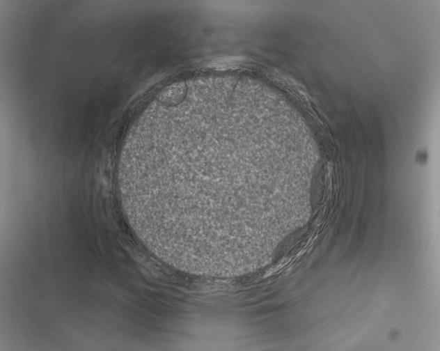 X0000116611158201001221313