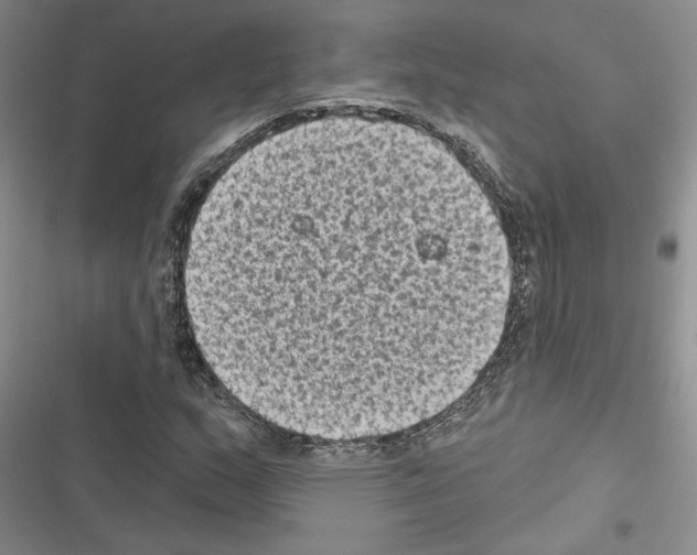 X0000116611159201001221313