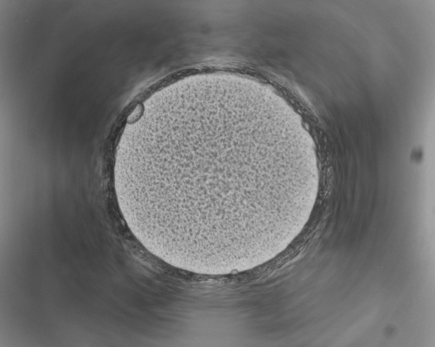 X0000116611160201001221313