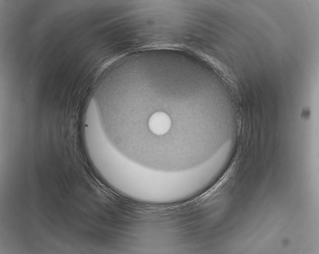 X0000116611161201001221313