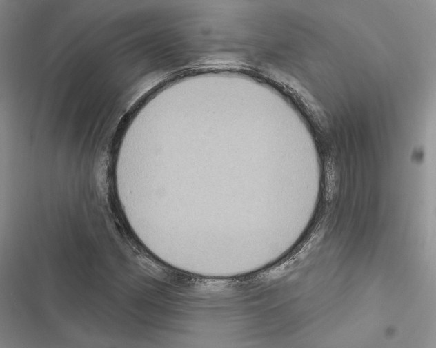 X0000116611162201001221313