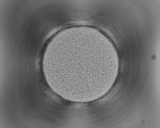 X0000116611163201001221313