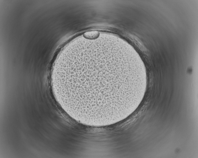 X0000116611164201001221313