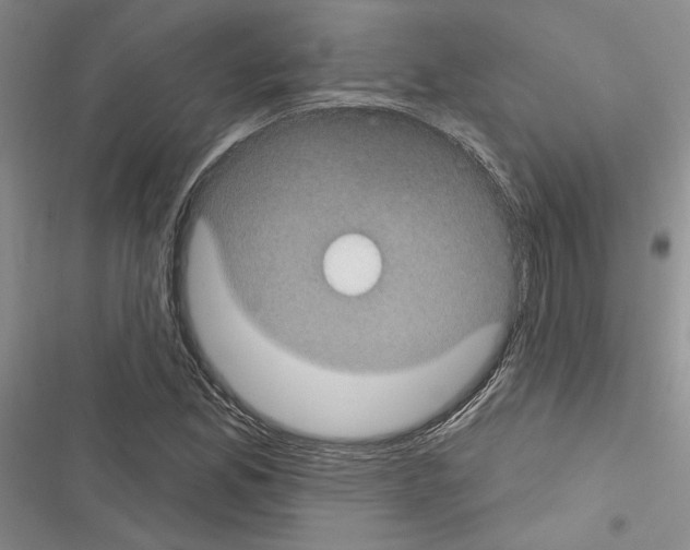 X0000116611165201001221313