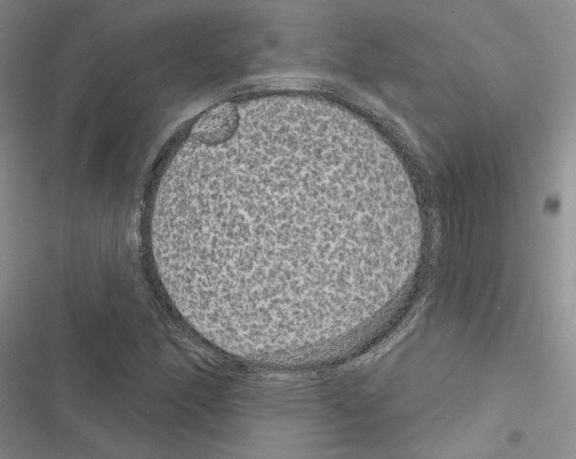 X0000116611166201001221313