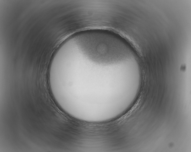 X0000116611169201001221313