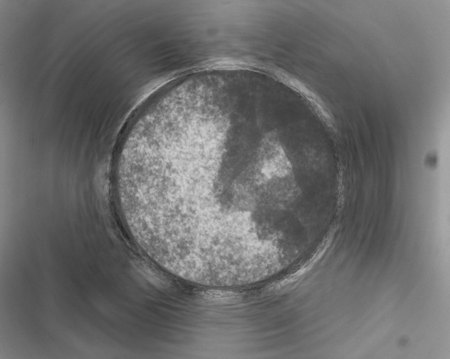 X0000116611170201001221313