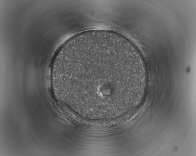 X0000116611171201001221313