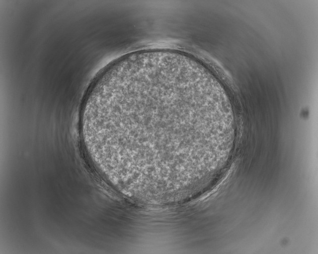 X0000116611174201001221313