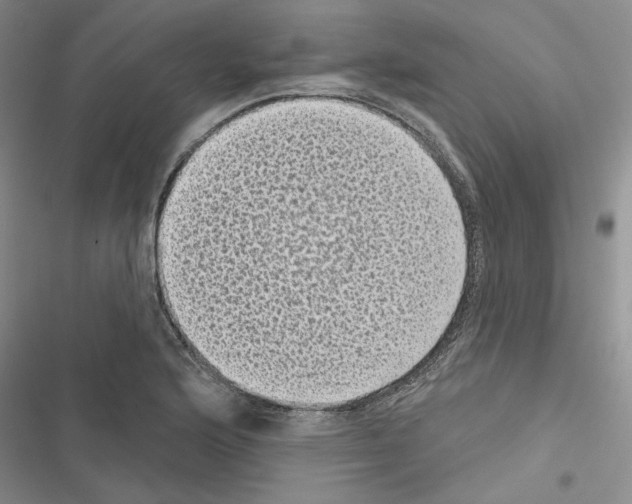 X0000116611176201001221312