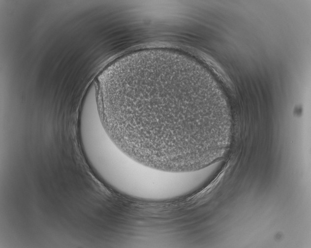 X0000116611177201001221312