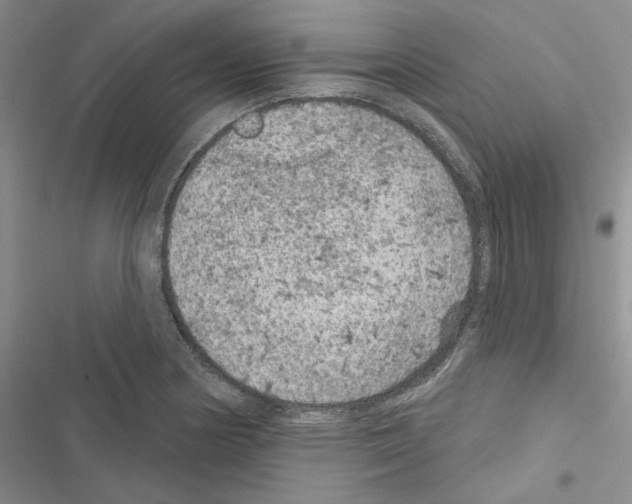 X0000116611178201001221312