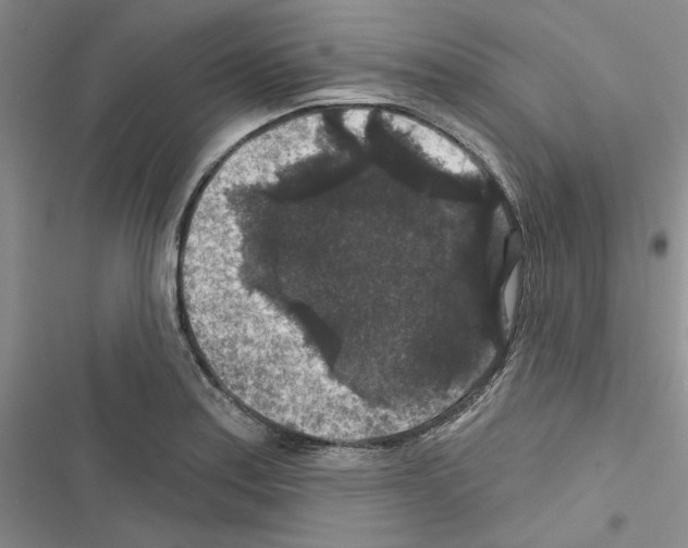 X0000116611179201001221312