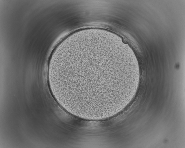 X0000116611180201001221312