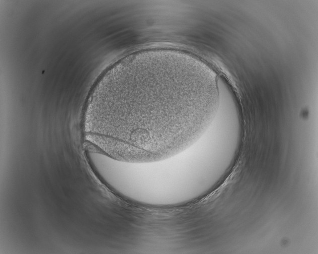 X0000116611181201001221312