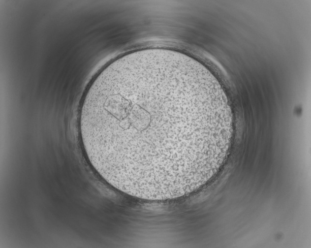 X0000116611182201001221312