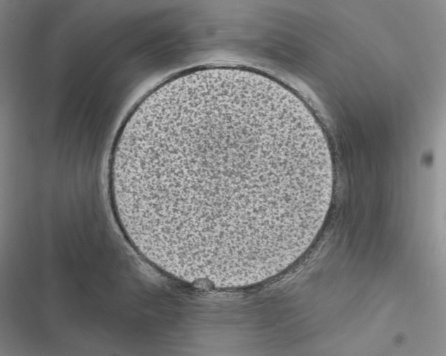 X0000116611183201001221312