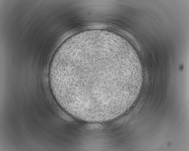 X0000116611186201001221312