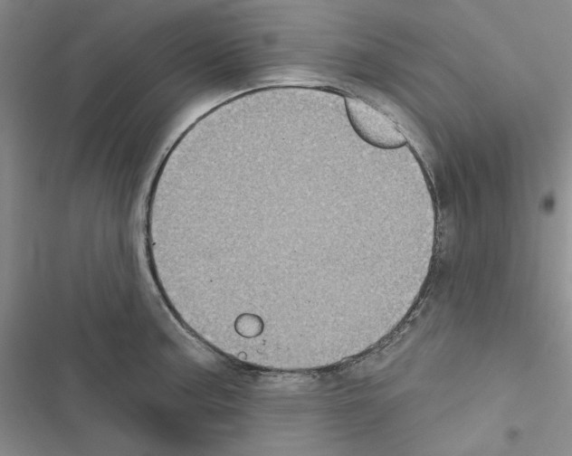 X0000116611187201001221312