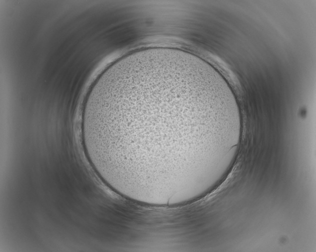 X0000116611188201001221312