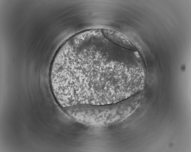 X0000116611189201001221312