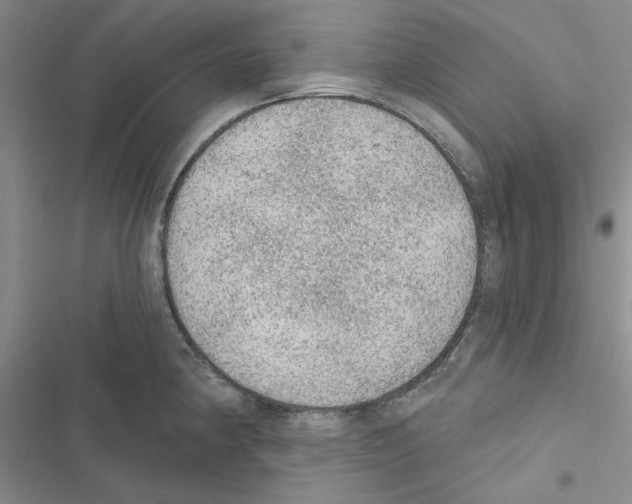 X0000116611190201001221312