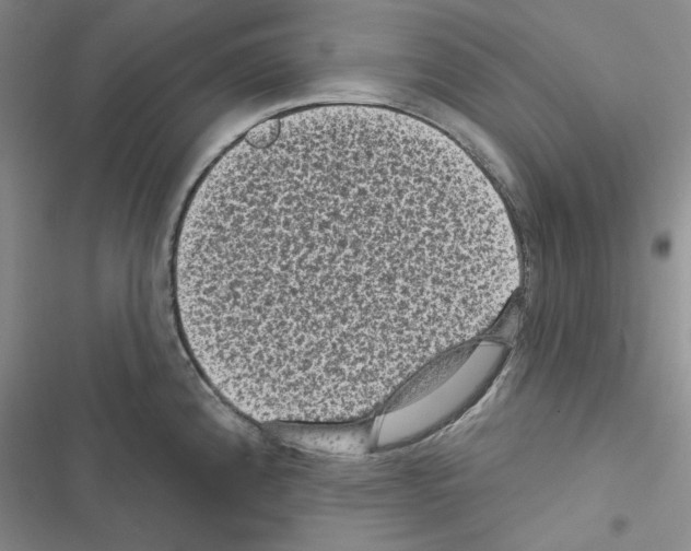 X0000116611192201001221312