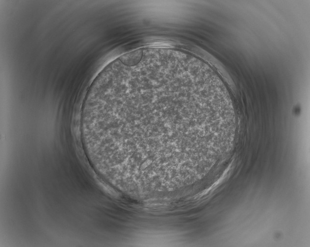 X0000116611194201001221312