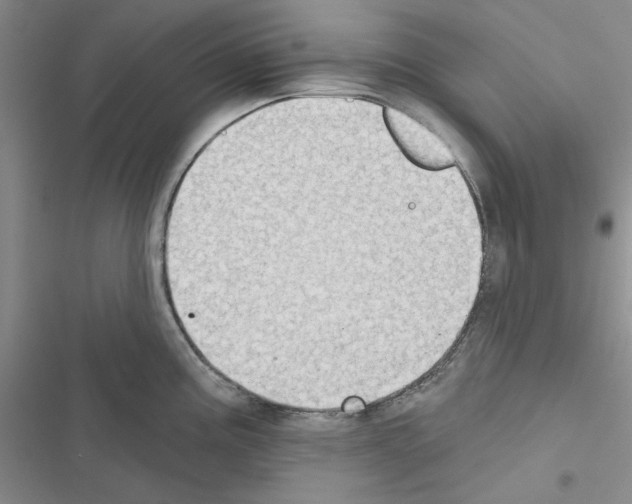 X0000116611195201001221312