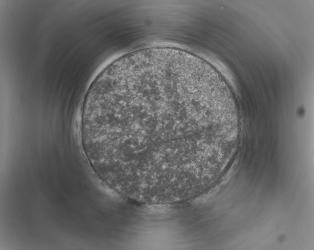 X0000116611198201001221312