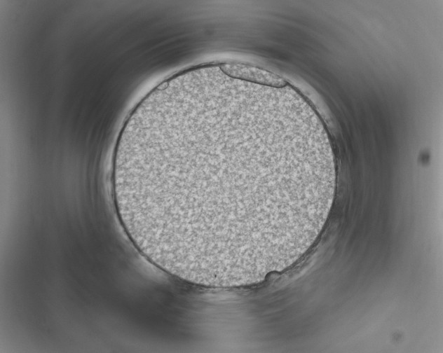 X0000116611199201001221312