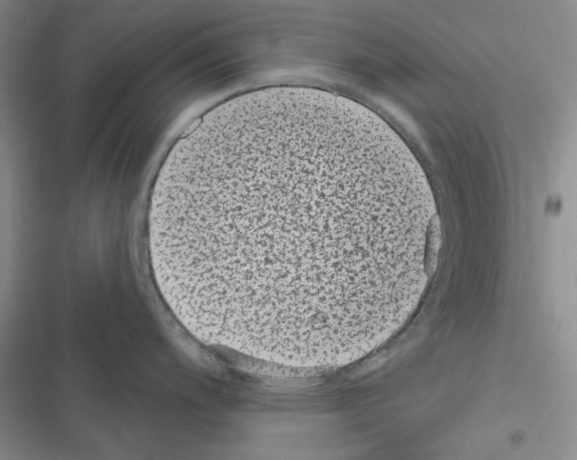 X0000116611200201001221312