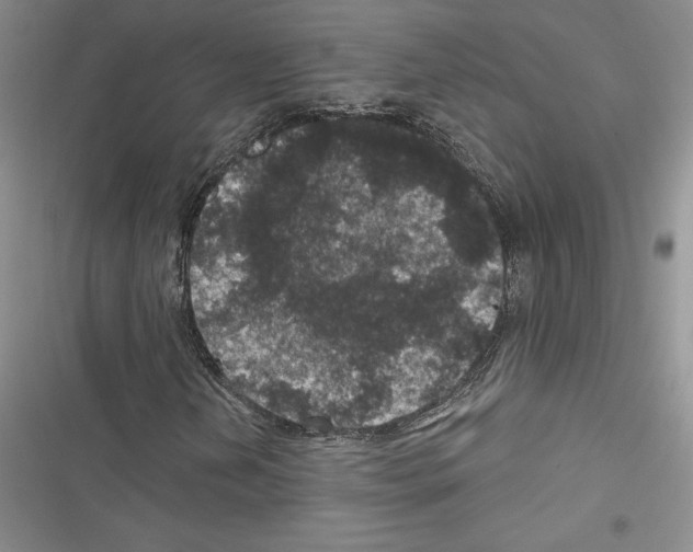 X0000116611202201001221312