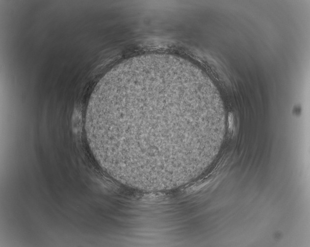 X0000116611203201001221312