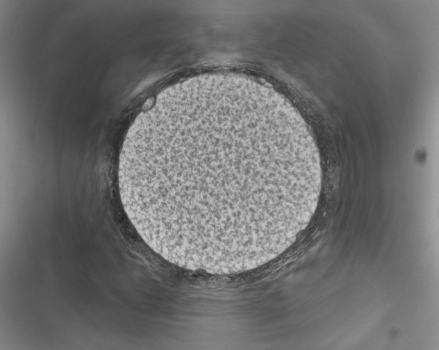 X0000116611206201001221312