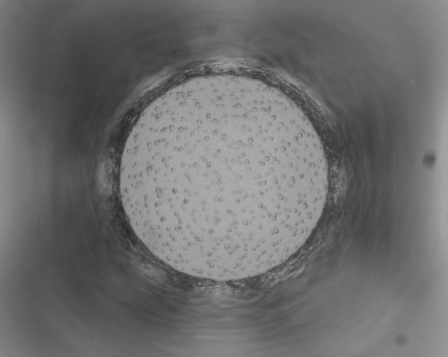 X0000116611207201001221312