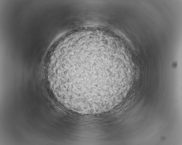 X0000116611208201001221312