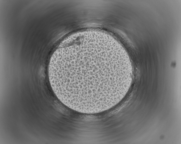 X0000116611209201001221312